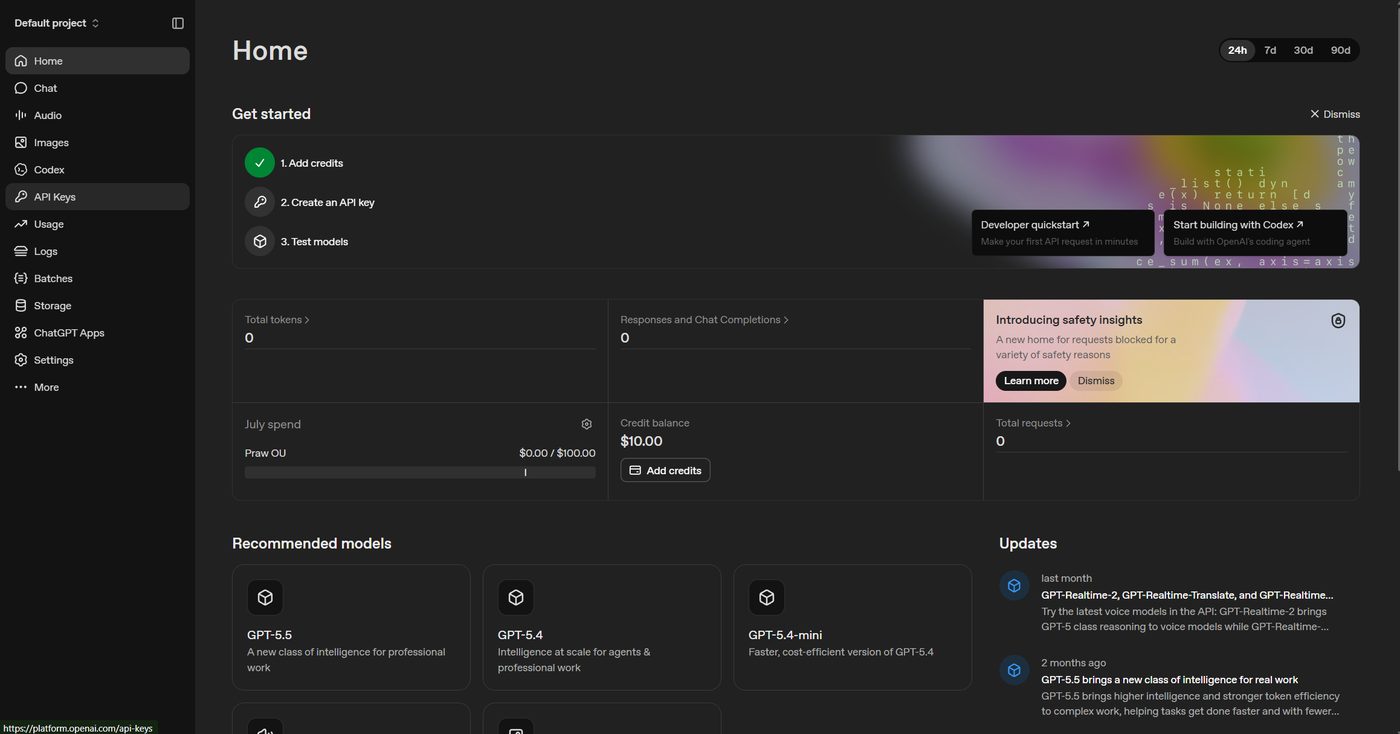 Panel de la plataforma con API Keys marcado en el menú lateral